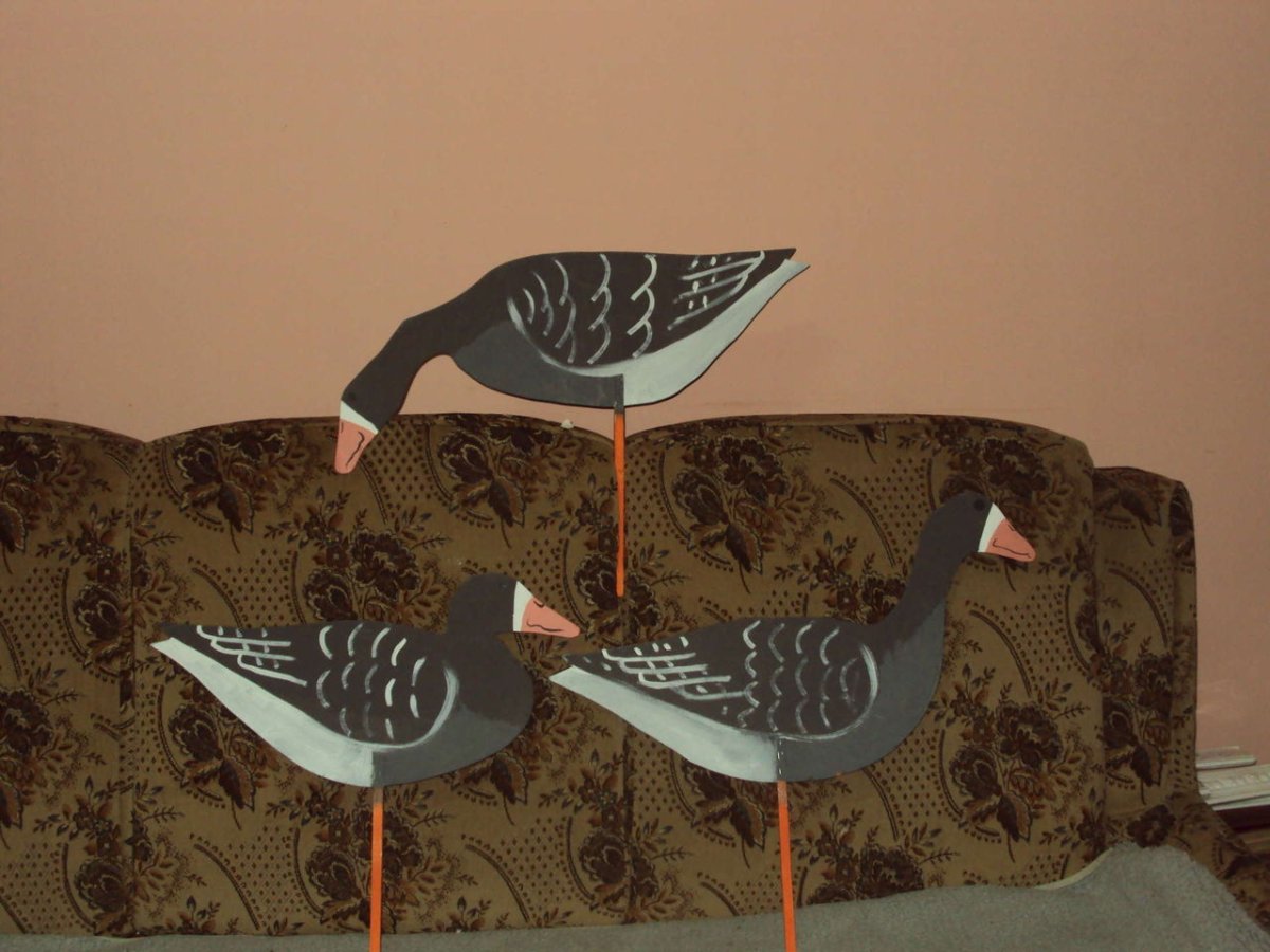 Чучело гуся "белолобый Гусь"