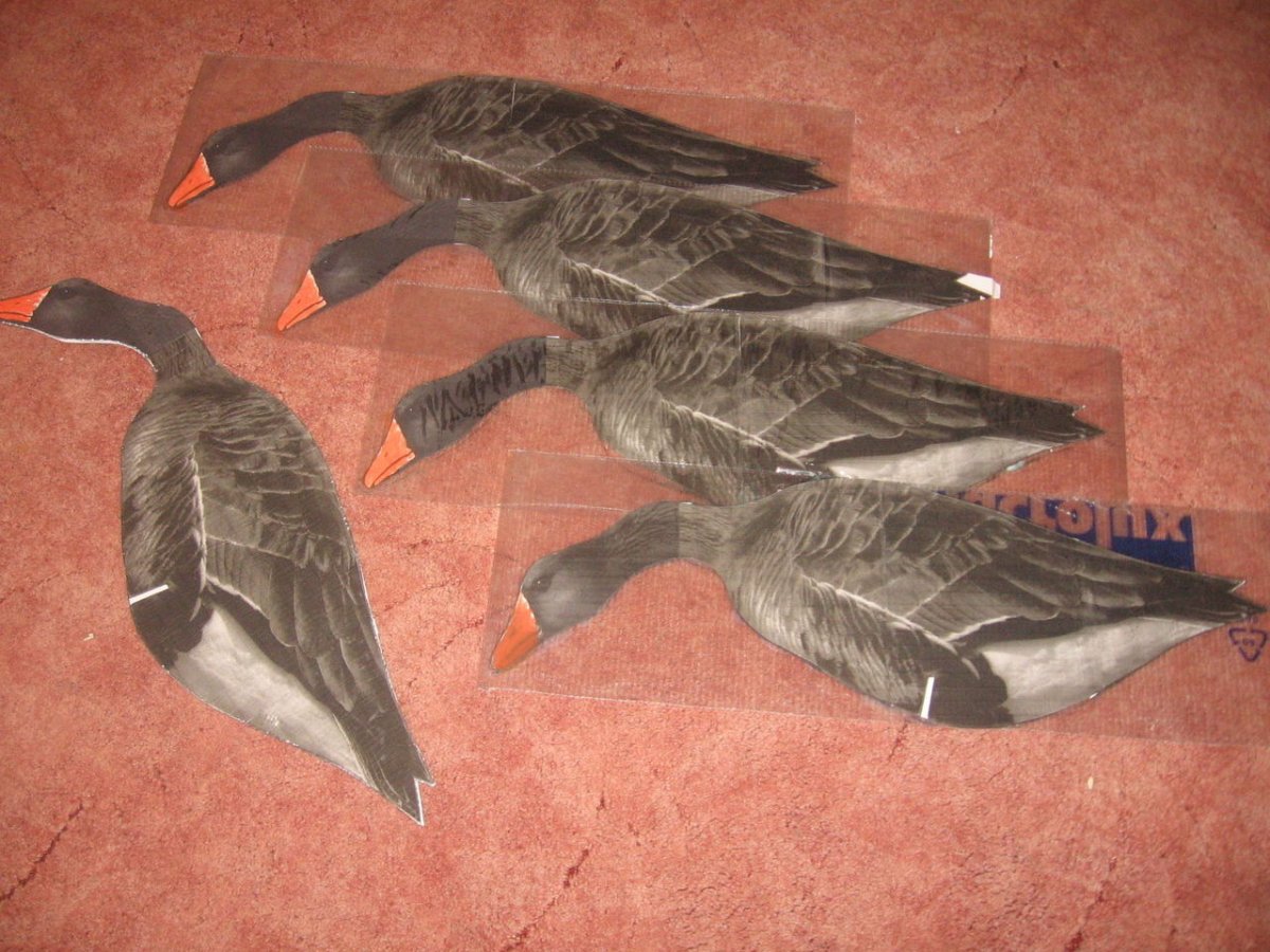 Чучела гусей из Дюпон