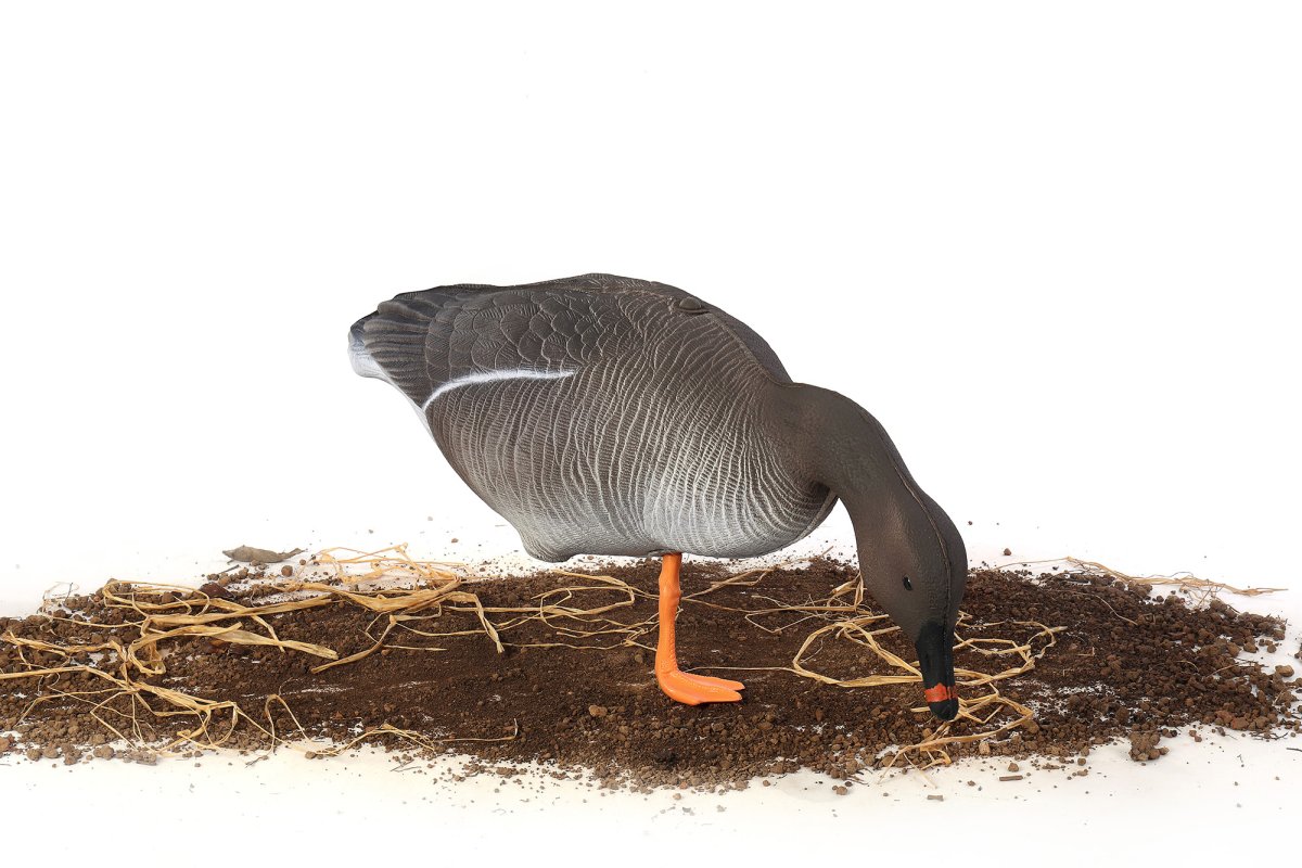 Гуменник North way (поштучно) XPE G 6112 X