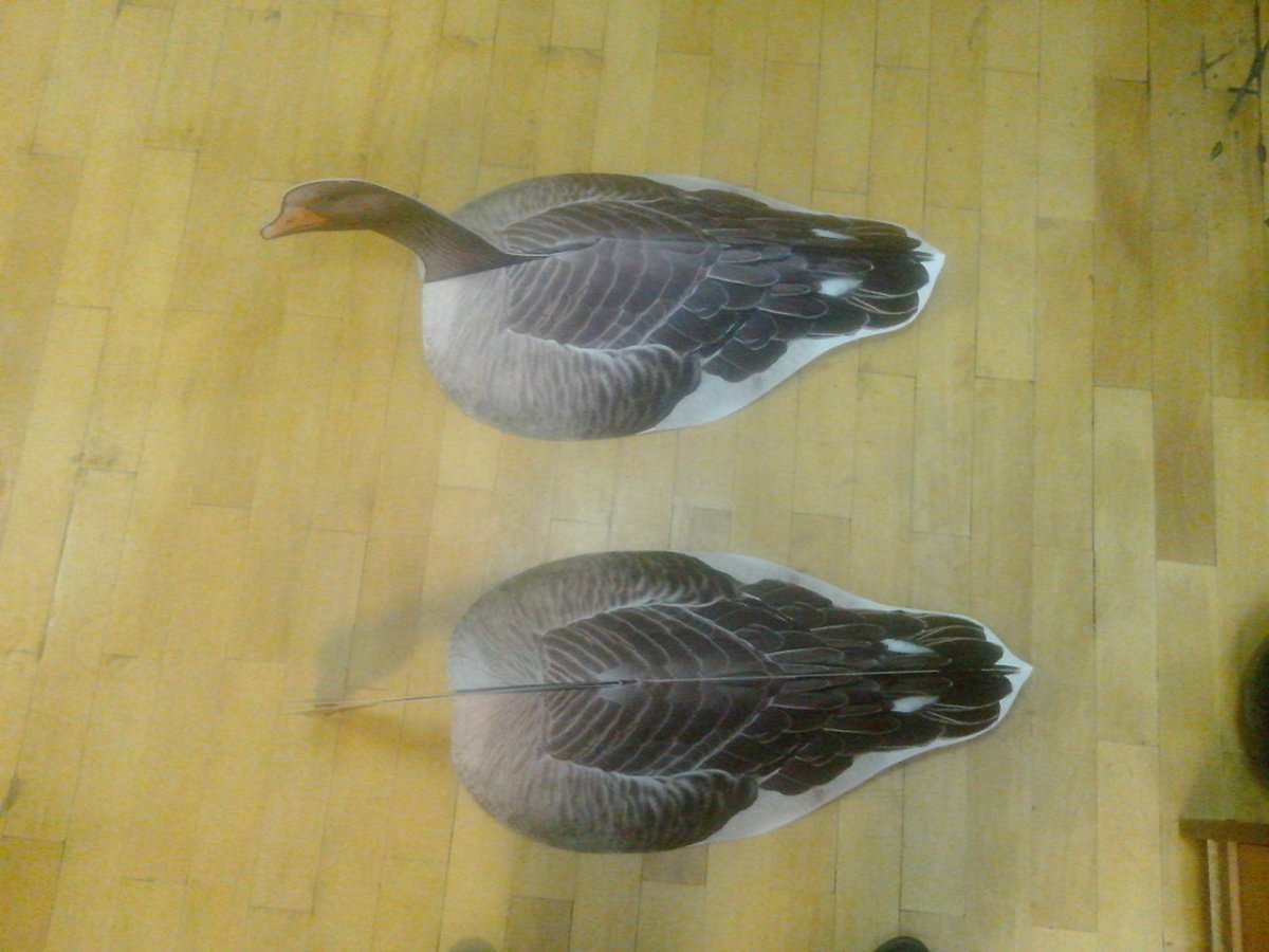 Макет гуся для охоты