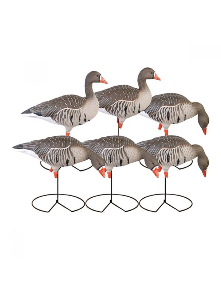 Чучела белощекой казарки