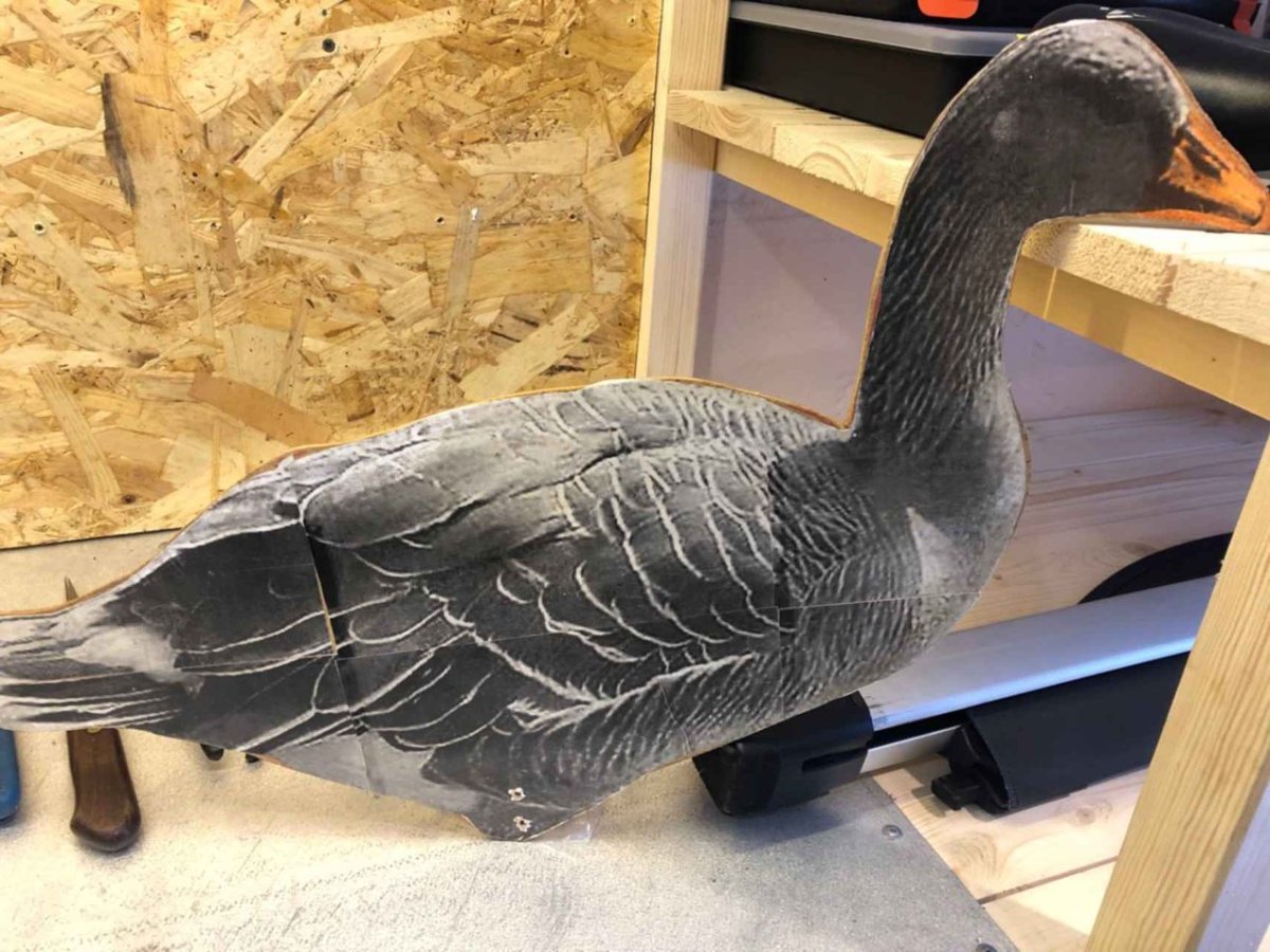 Чучела белолобых гусей спорт пласт