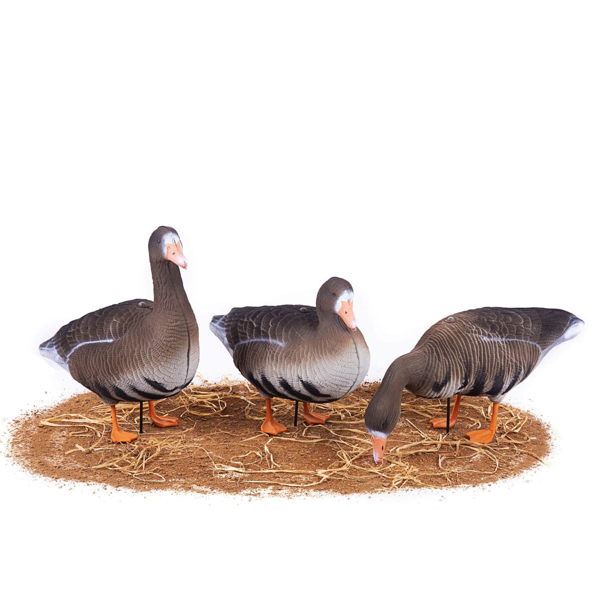 Чучела гусей 3d белолобый SUPERXPE