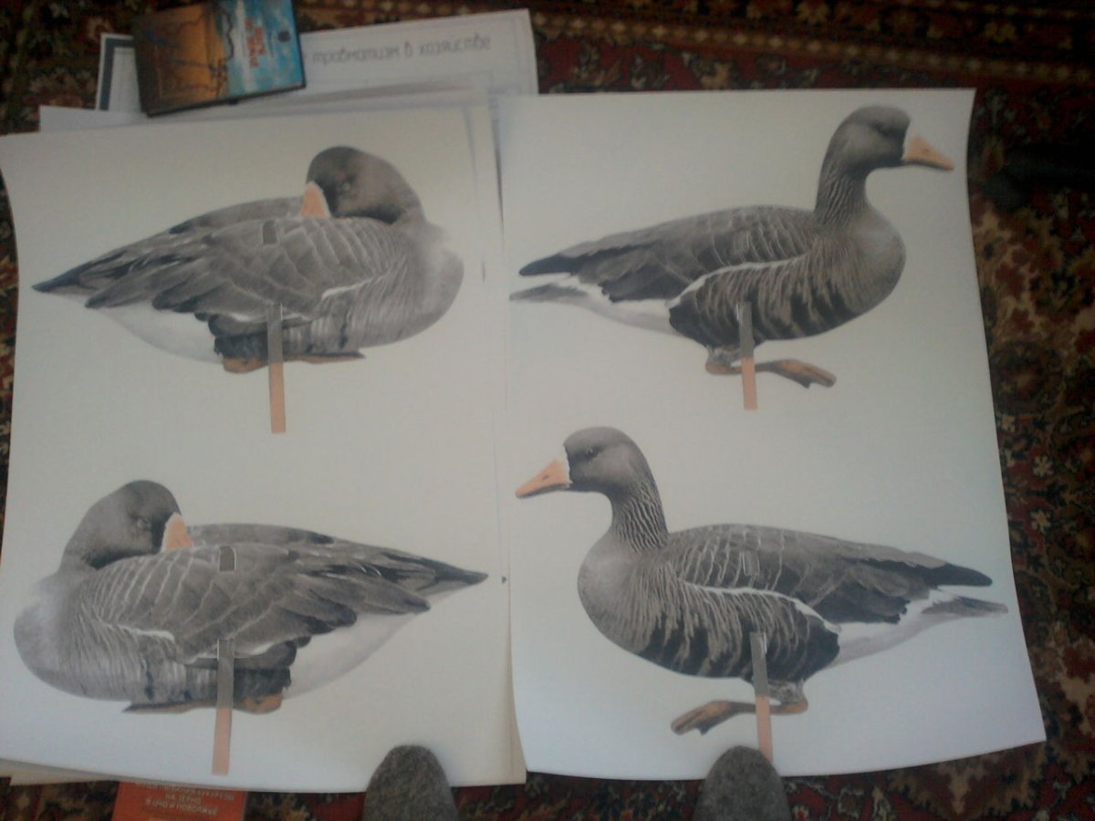 Чучела гусей РПГ