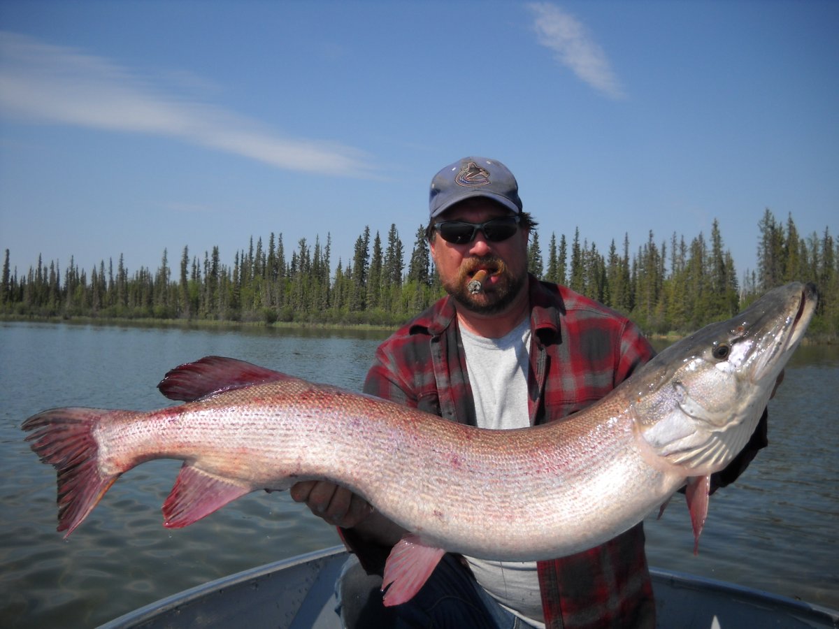 Гигантская щука маскинонг