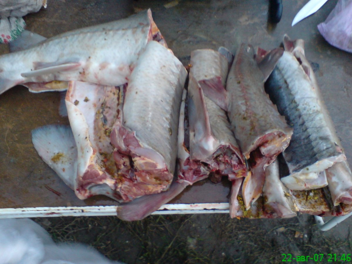 Копченый Кострюк