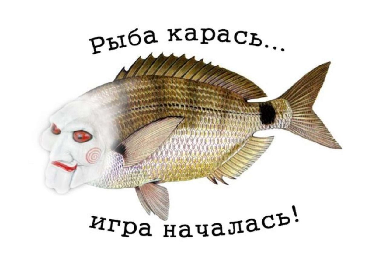 Стерлядь и осетр