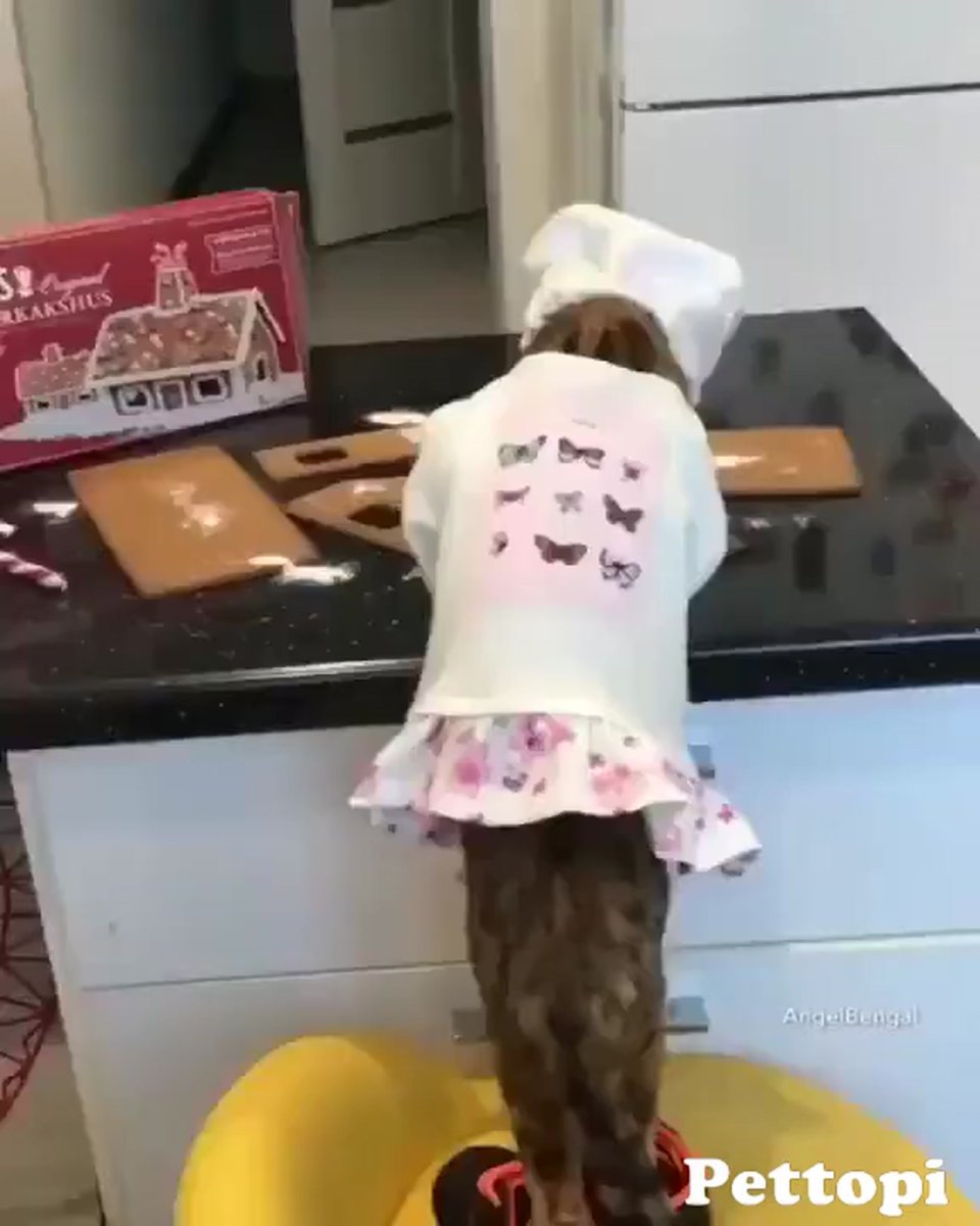 Художник Алексей Долотов Xenopus