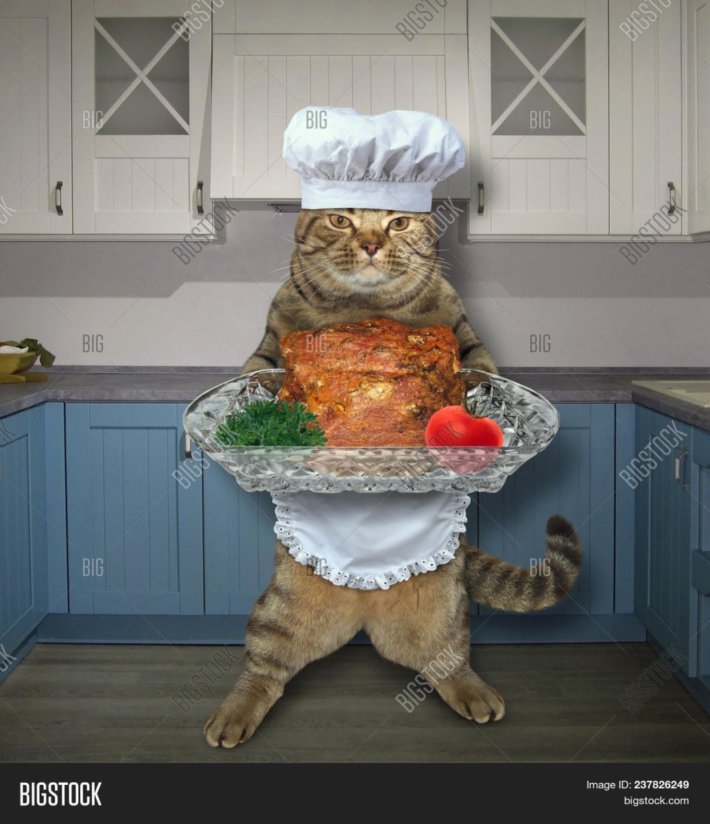 Поднос для кошки