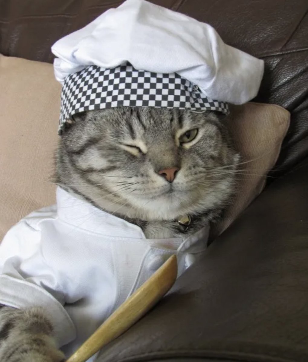 Блоггер повар с котом