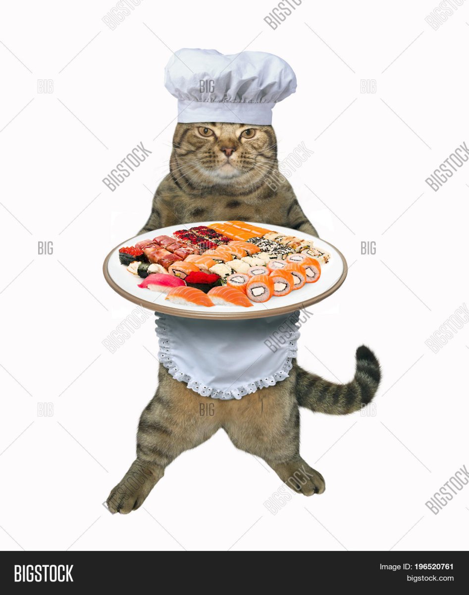 Кот в поварском колпаке