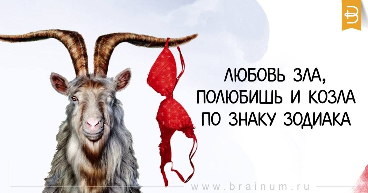 Боевые козлы