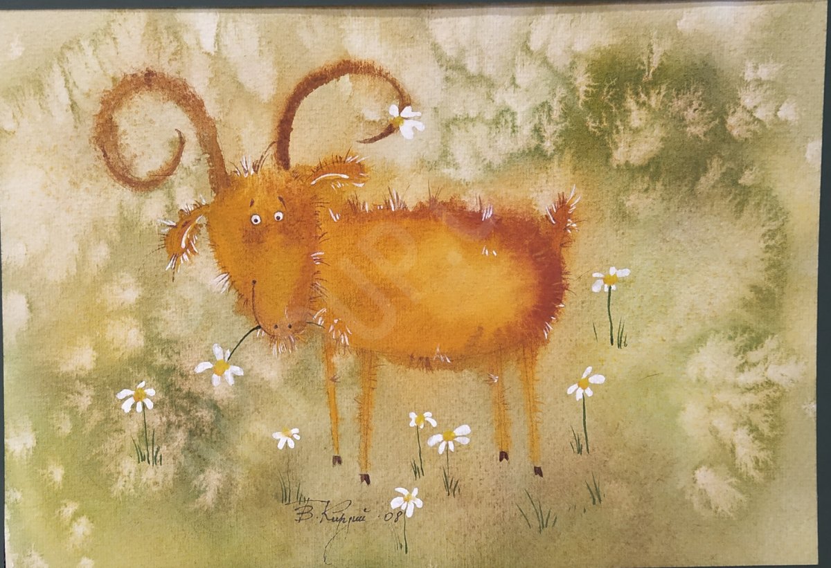 Альпийский горный козел Ибекс