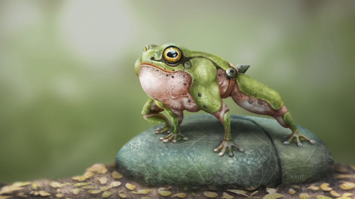 Лягушка и бабочка