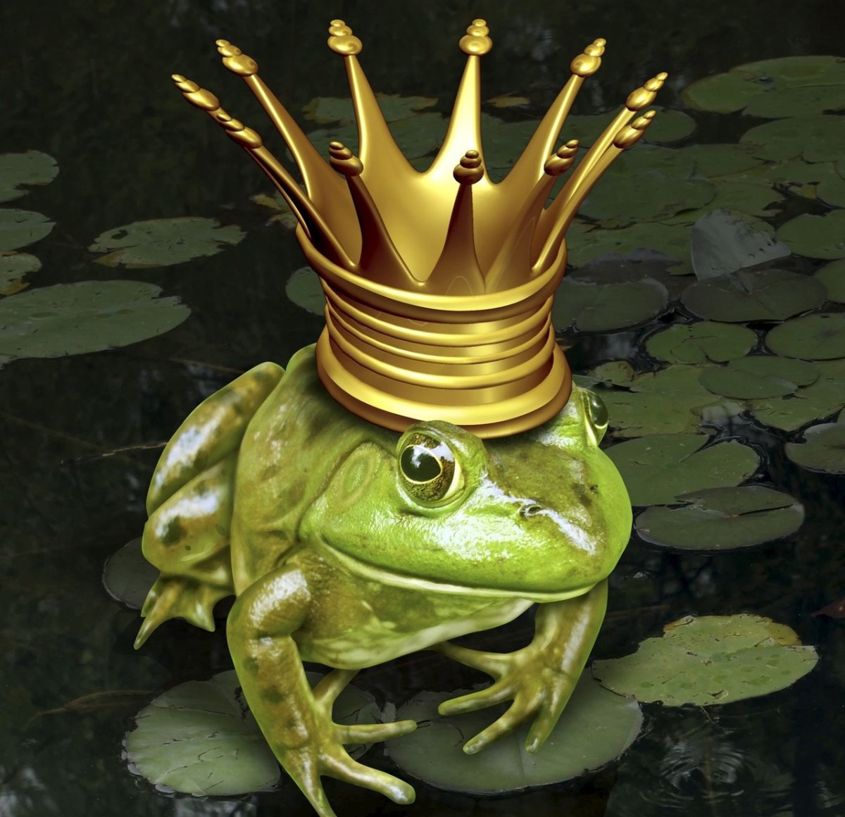 Лягушка Хоумстак