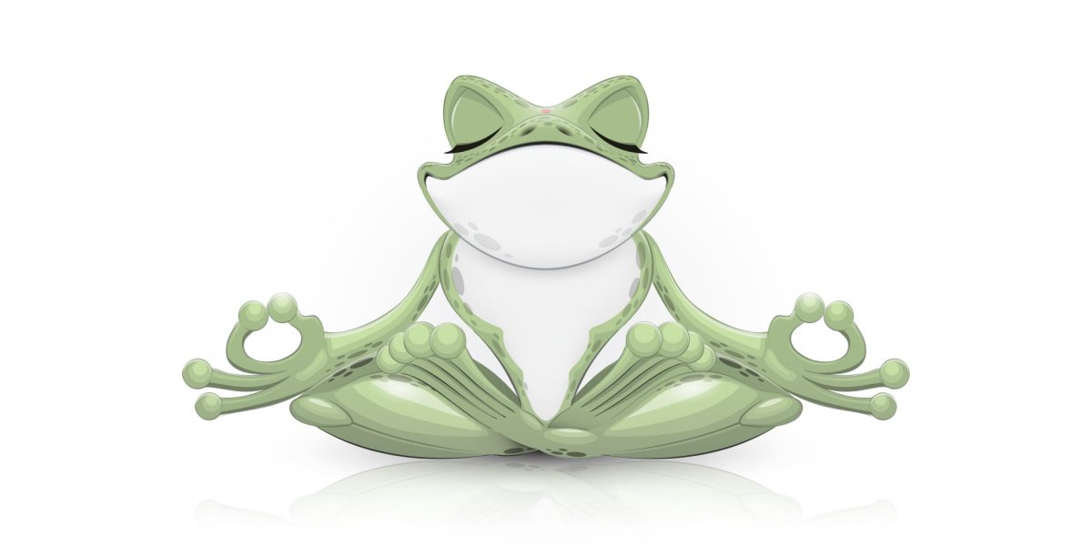 Лягушка прикол