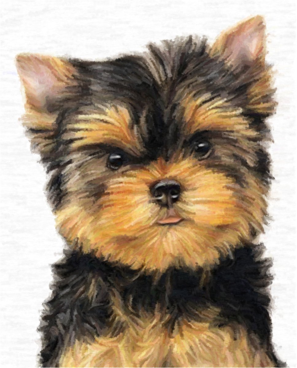 Ершский терьер