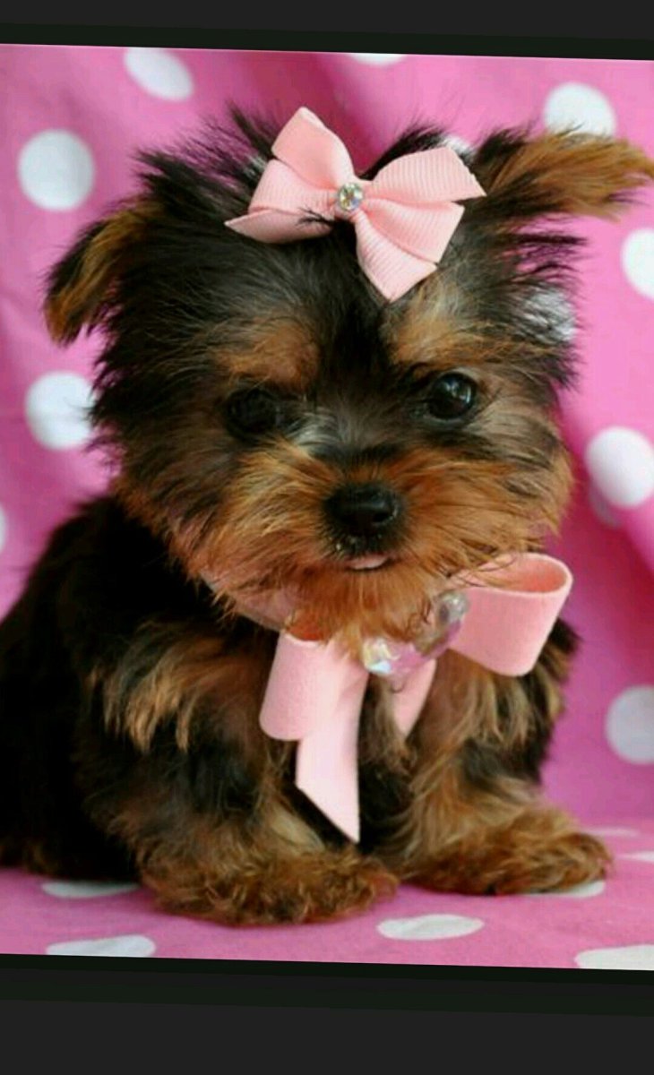 Наклейки Ерки