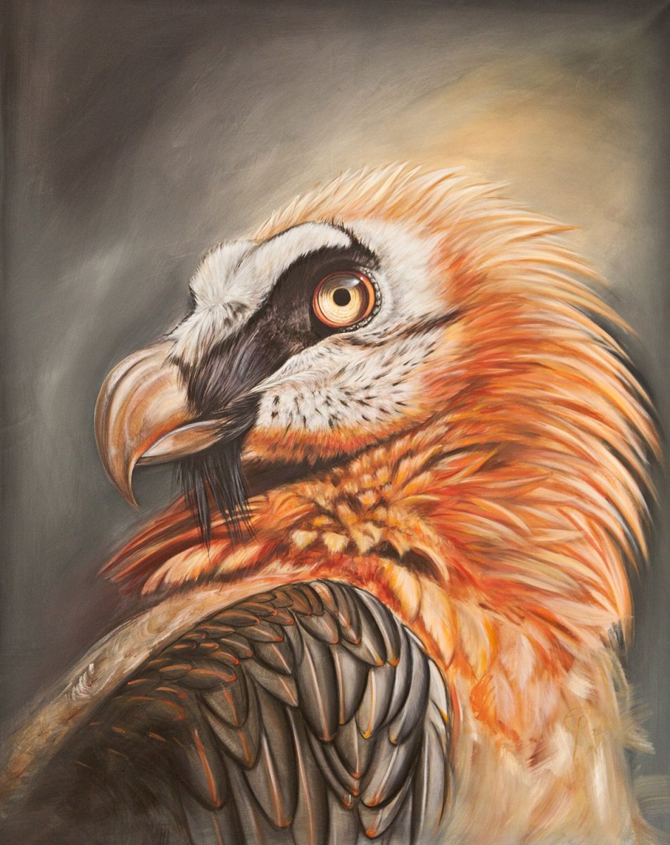 Птицы в пустыне