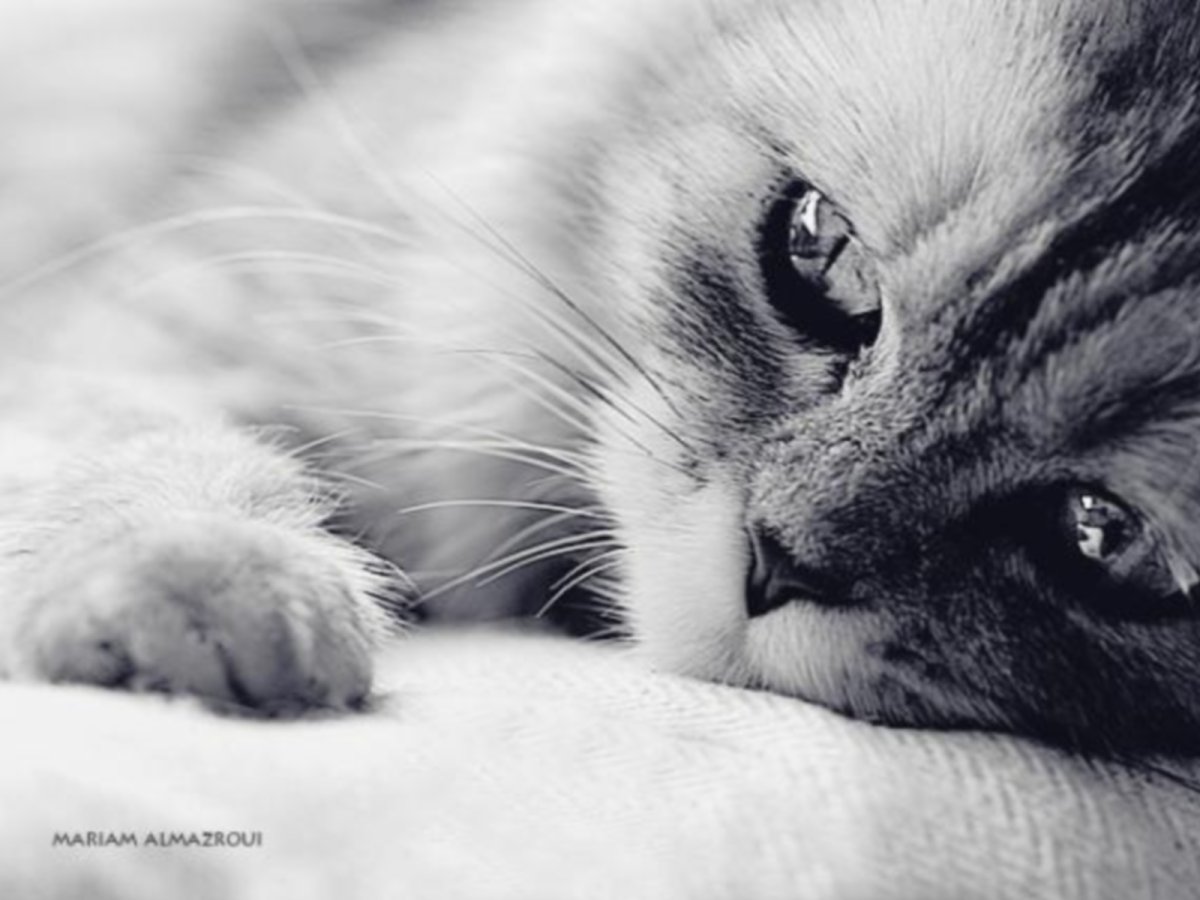 Очень грустно