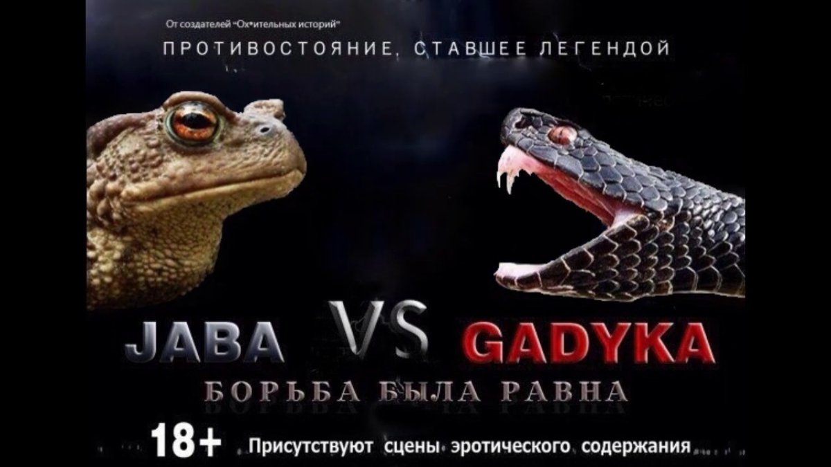 Жаба против гадюки