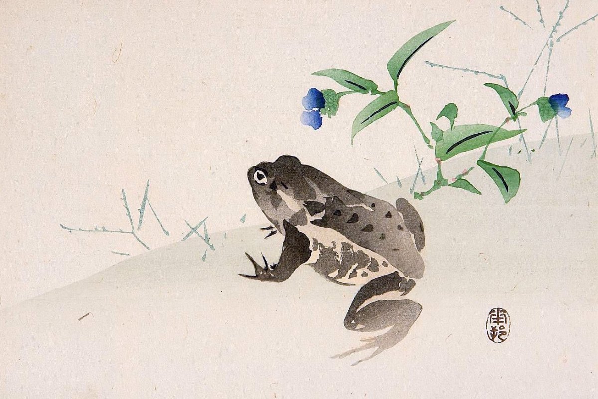 Японская гравюра с жабами