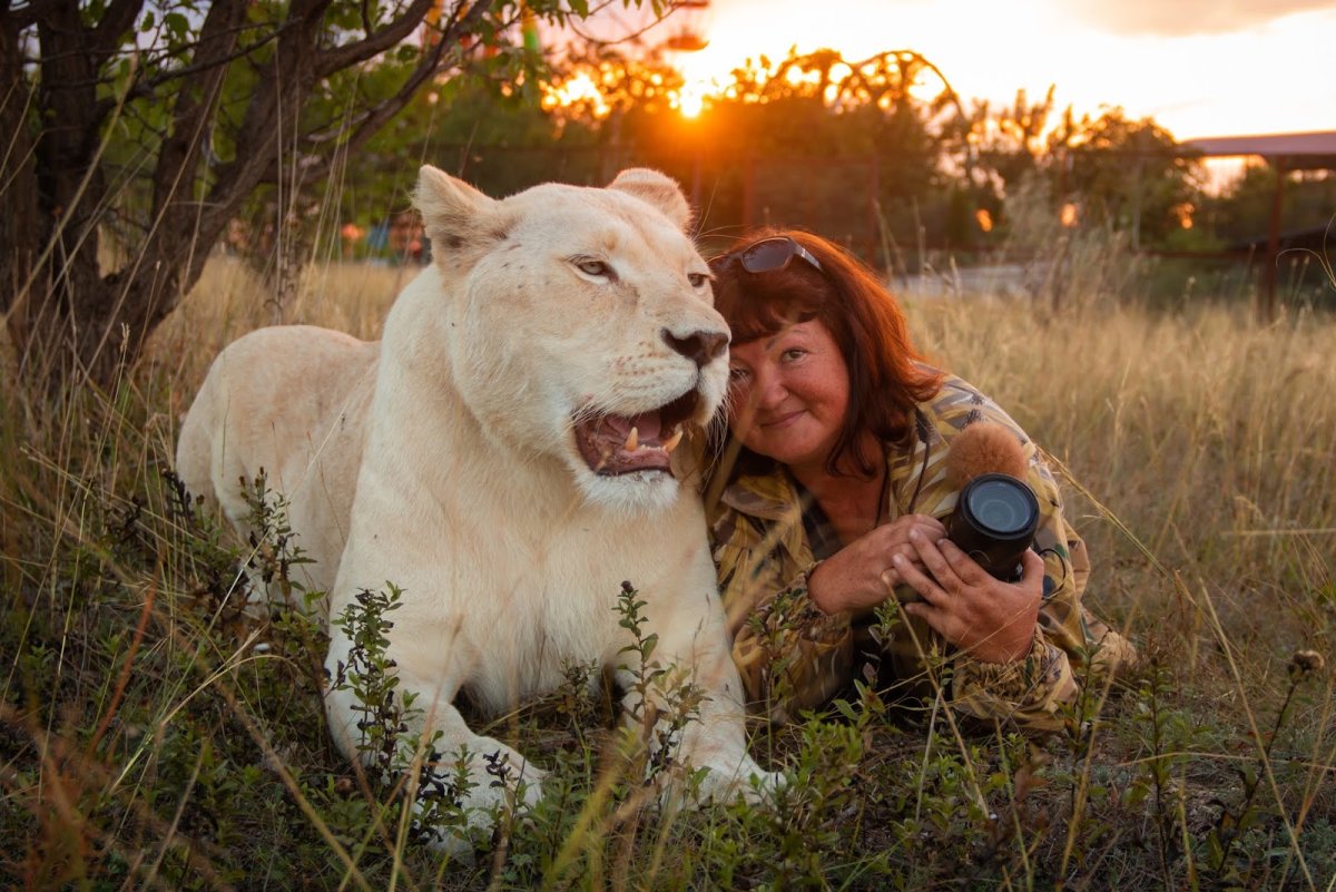 Олег Зубков ютуб