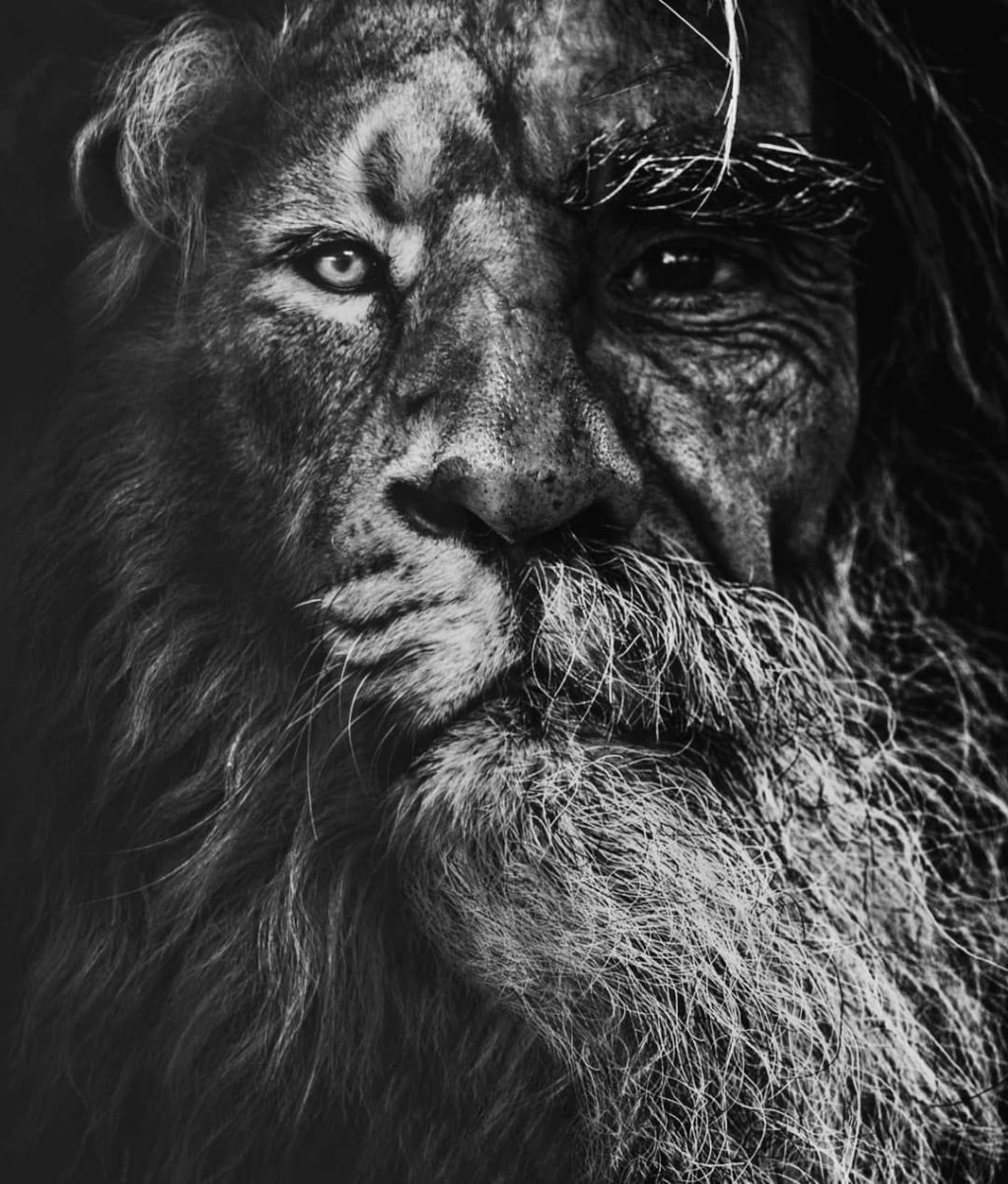 Человек с головой Льва