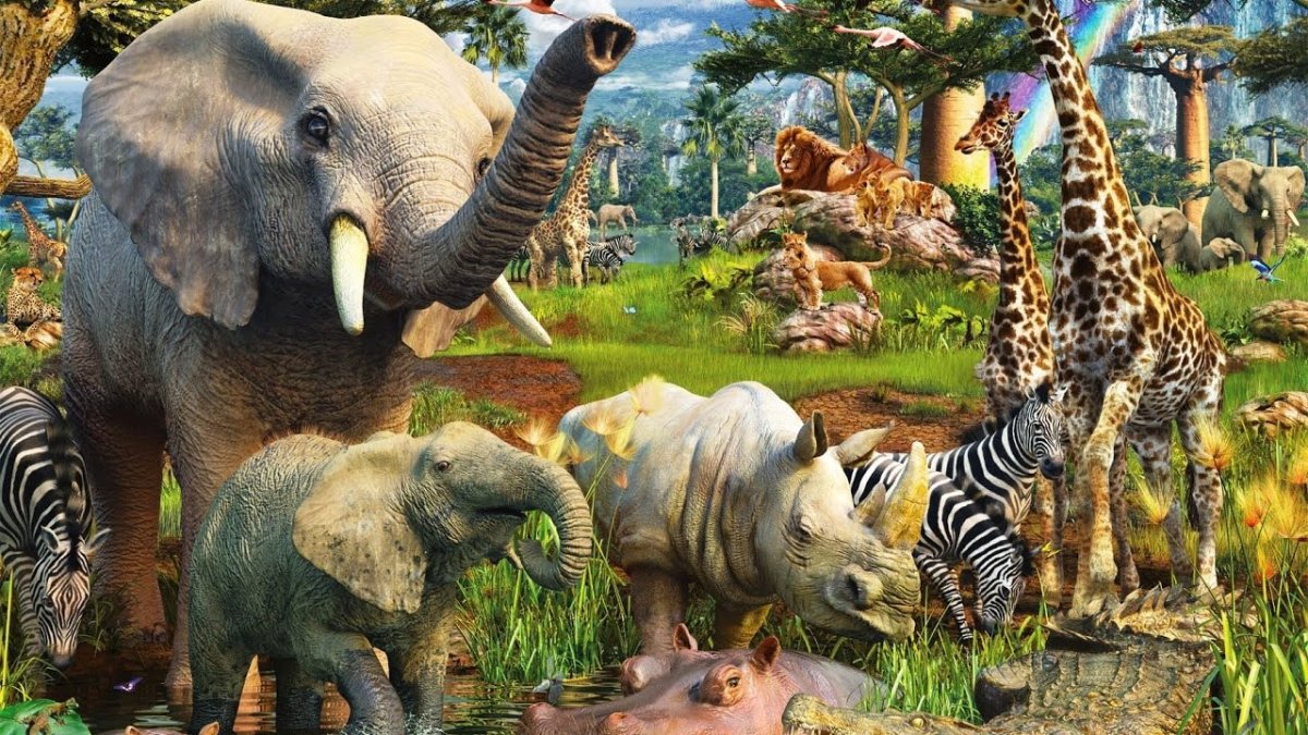 Животные Африки для детей