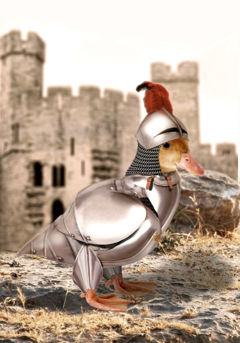 Боевой Гусь