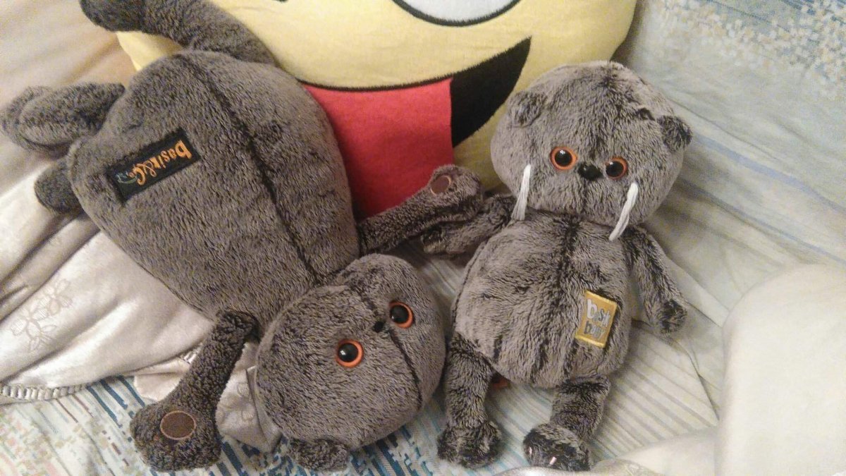 Басик горнолыжник