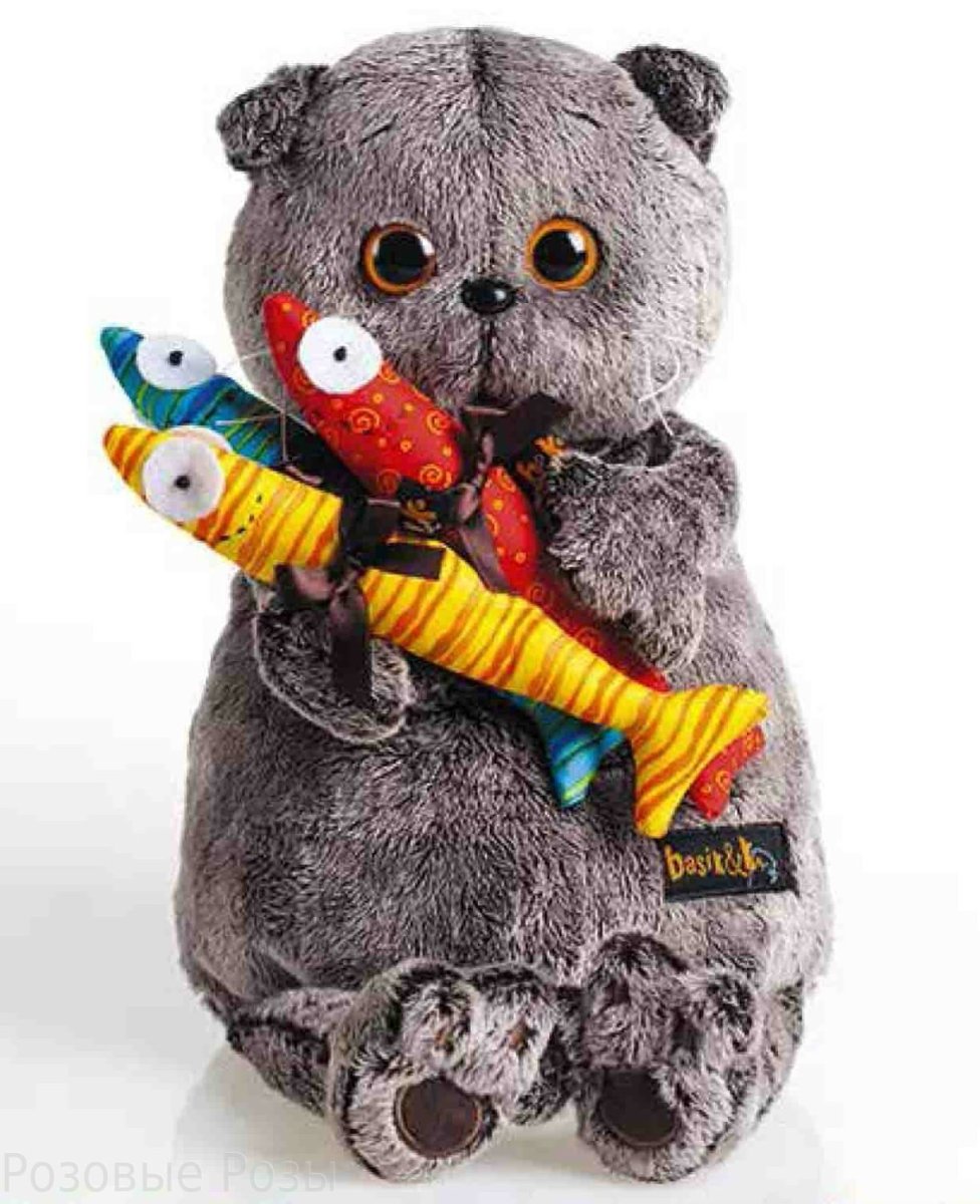 Басик кот Басик