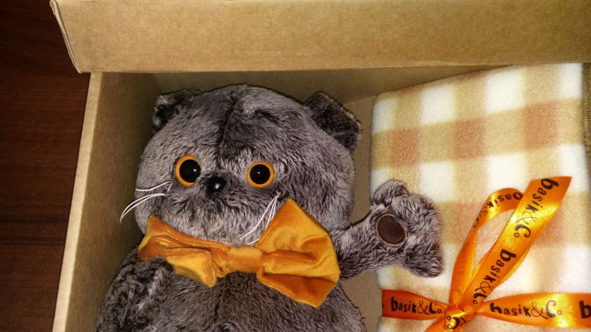 Ks25-113 Басик с совой 25 см