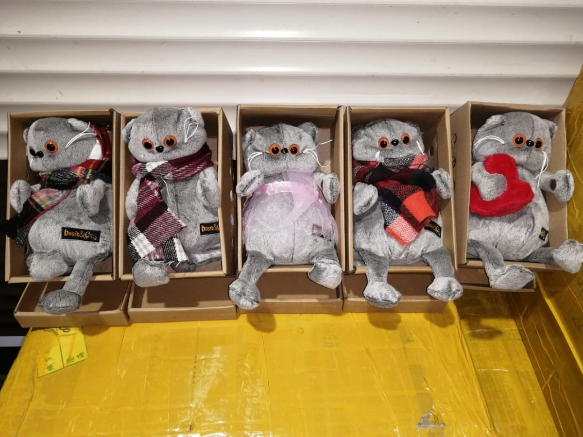 Садовод басики коты