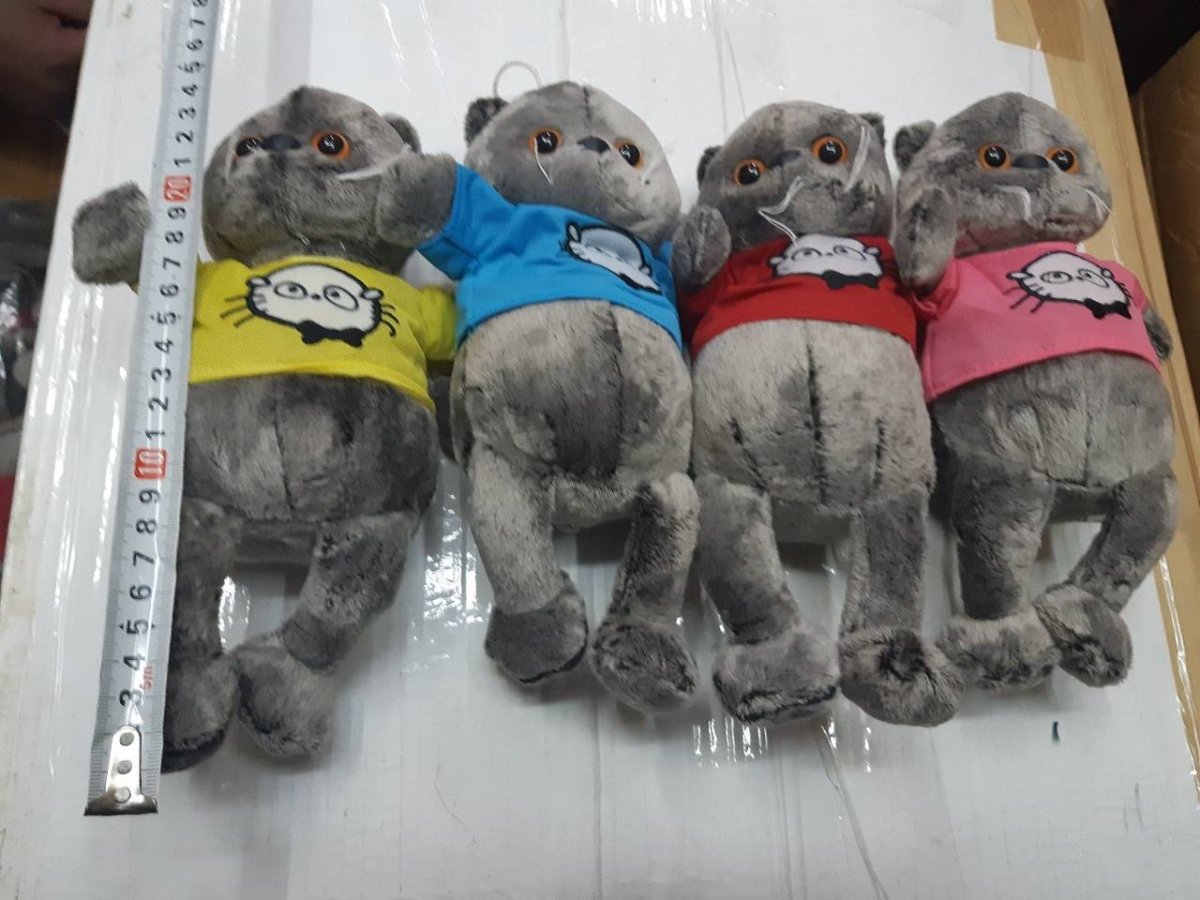 Кот Басик Садовод Барсик Садовод