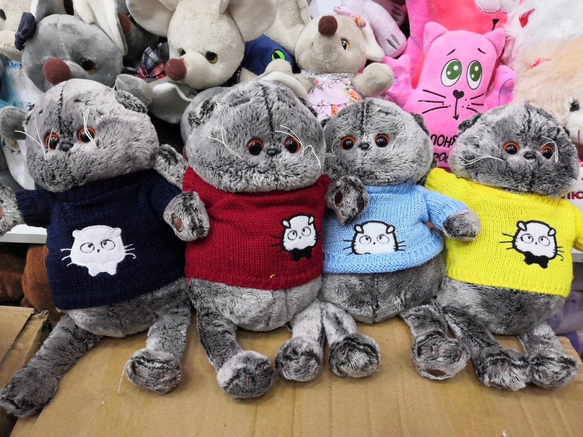 Кот Басик Садовод