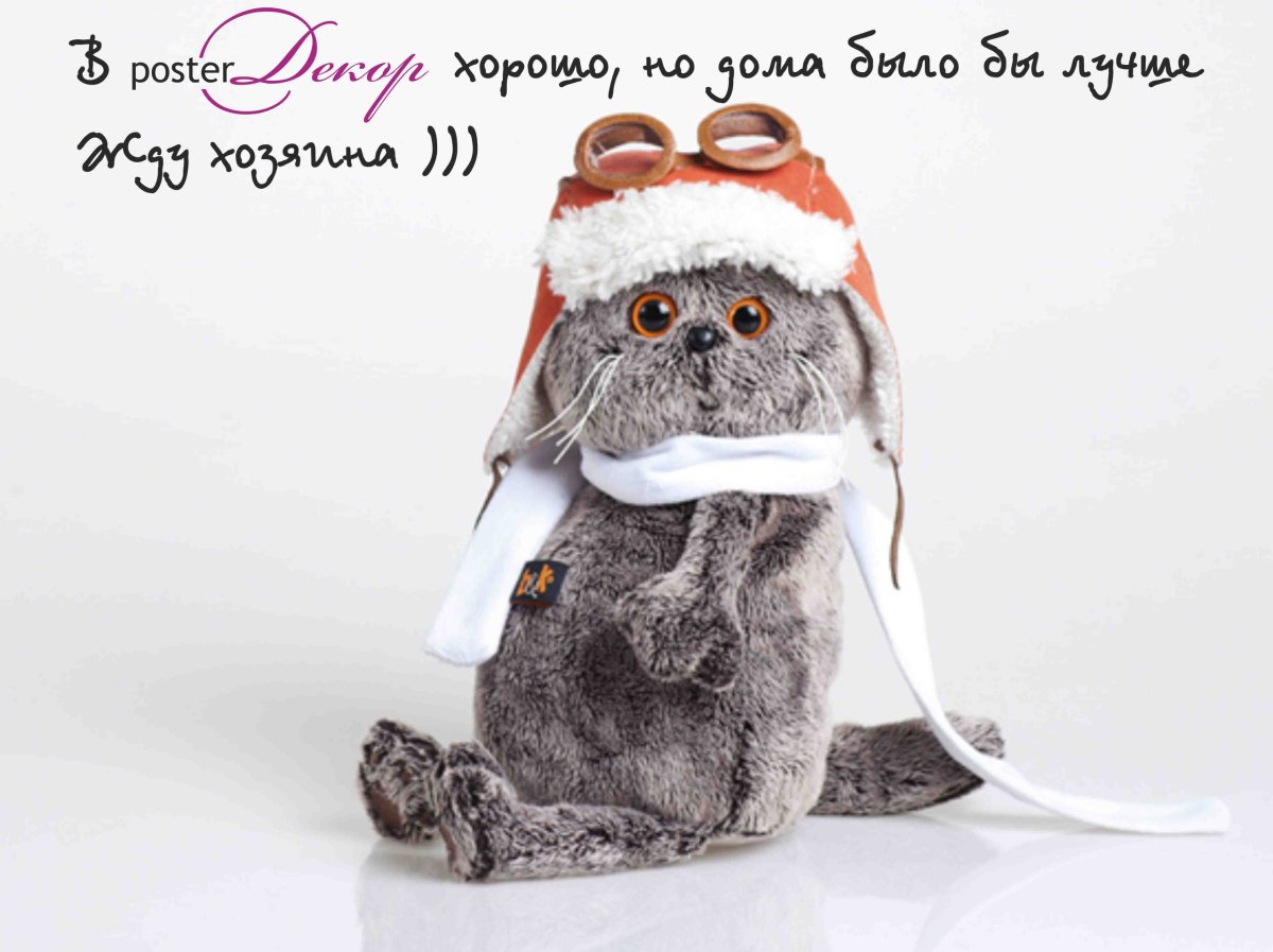 Басик пилот