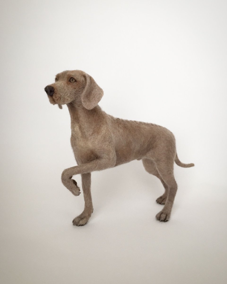 Веймаранер метис