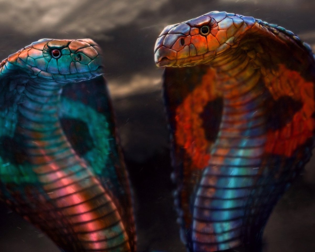 Черный Тайпан змея