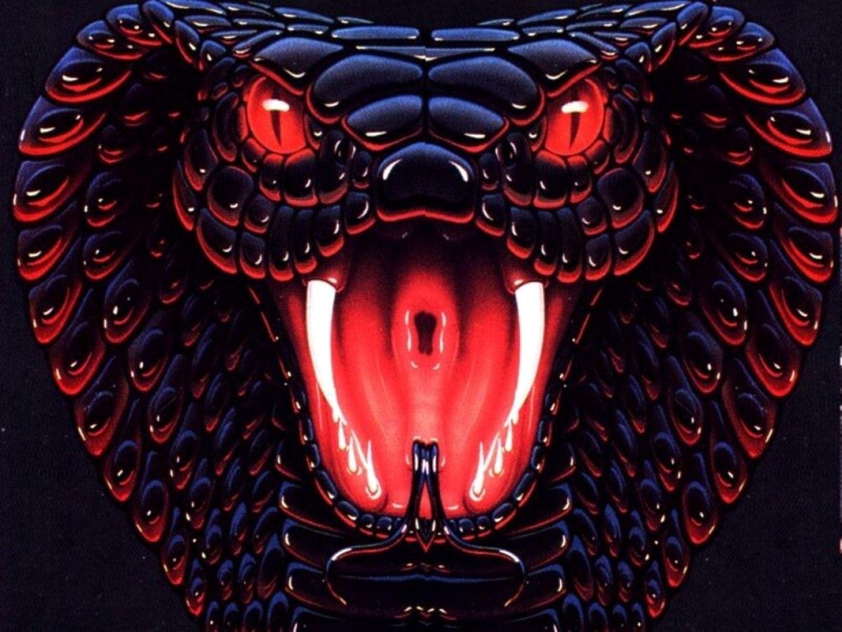 Коралловый Аспид Эстетика