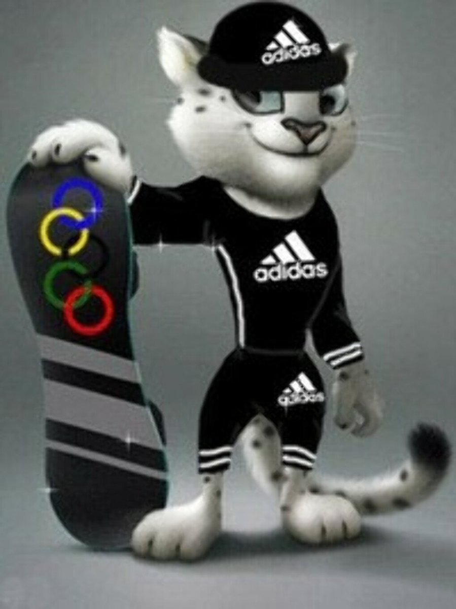 Котик в адидасе