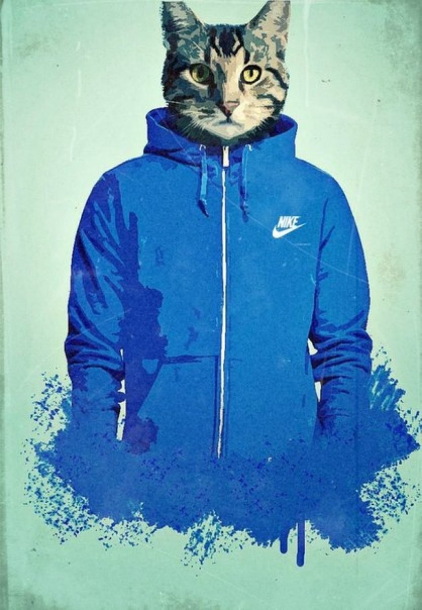 Гопник на кортах