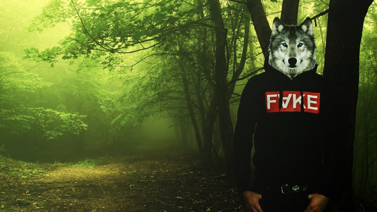 Кот в очках