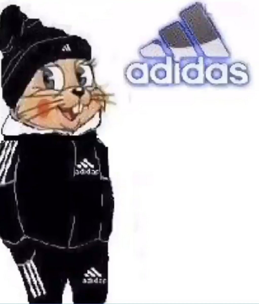 Крутой кот в адидасе