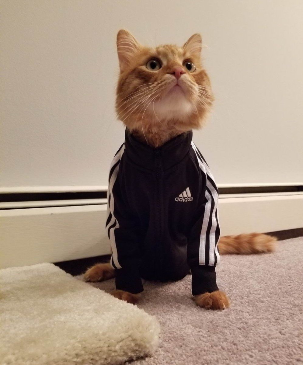 Ахмеров Эмиль