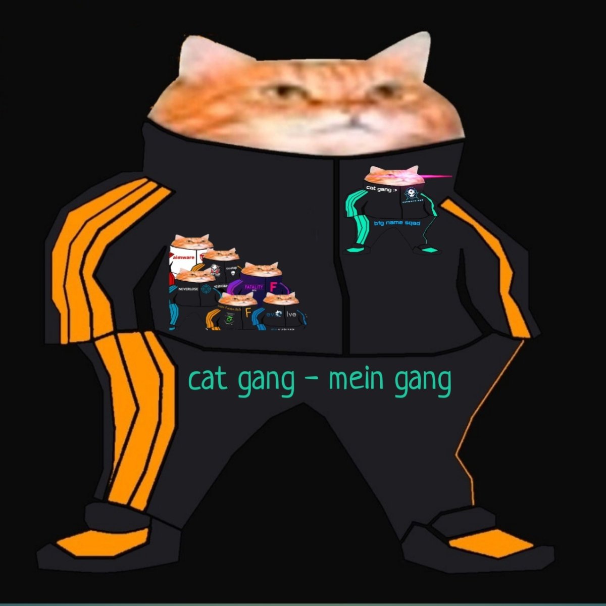 Кот в адидасе для авы