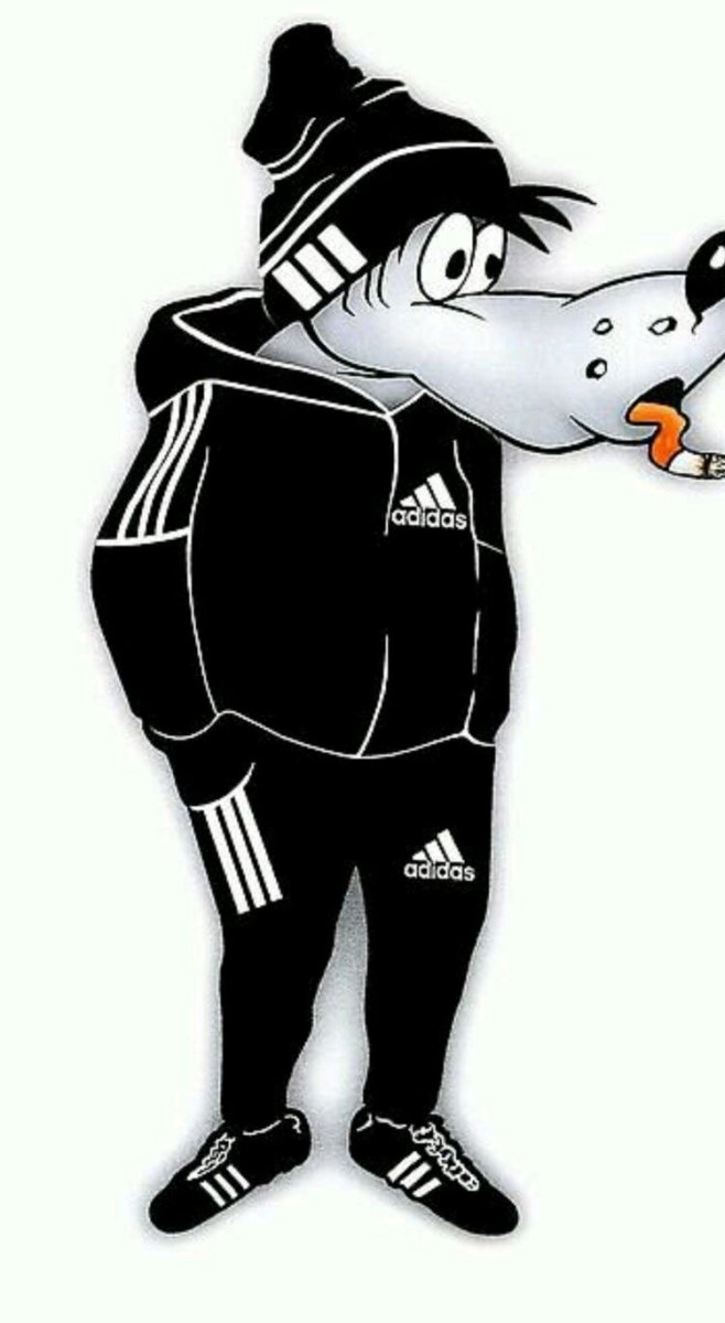 Коты в спортивных костюмах