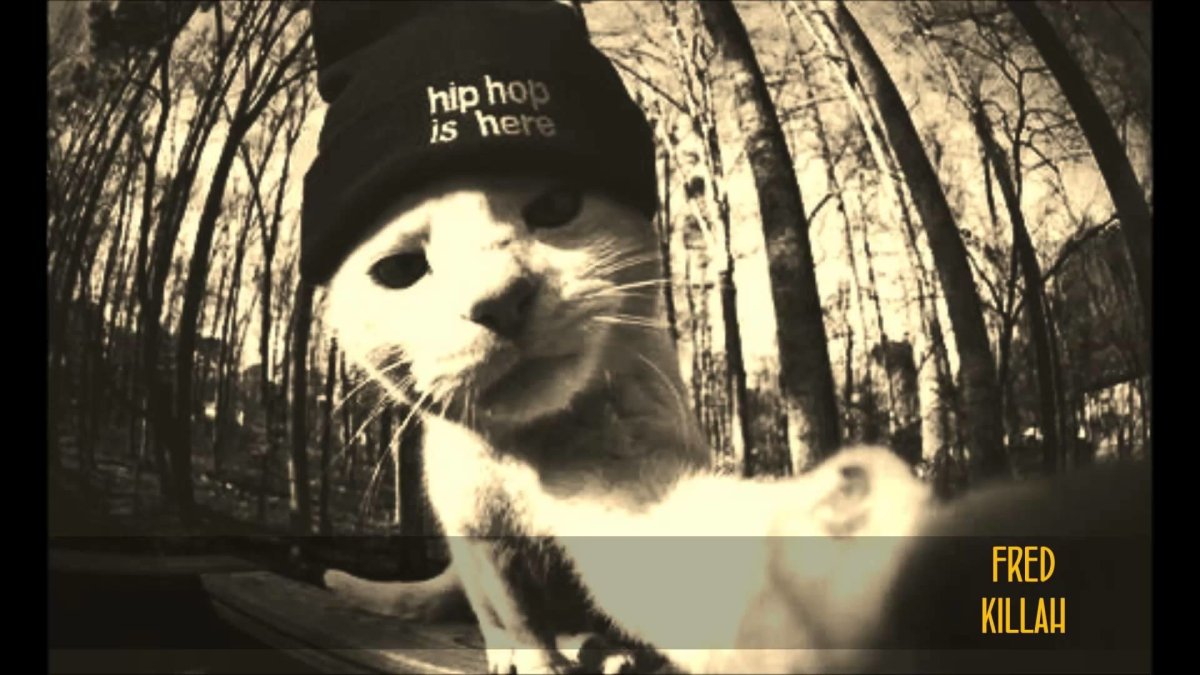 Элвин и бурундуки адидас