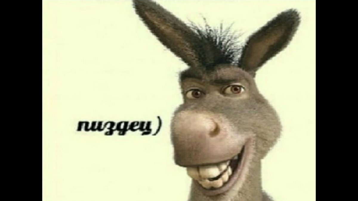 Путин на осле