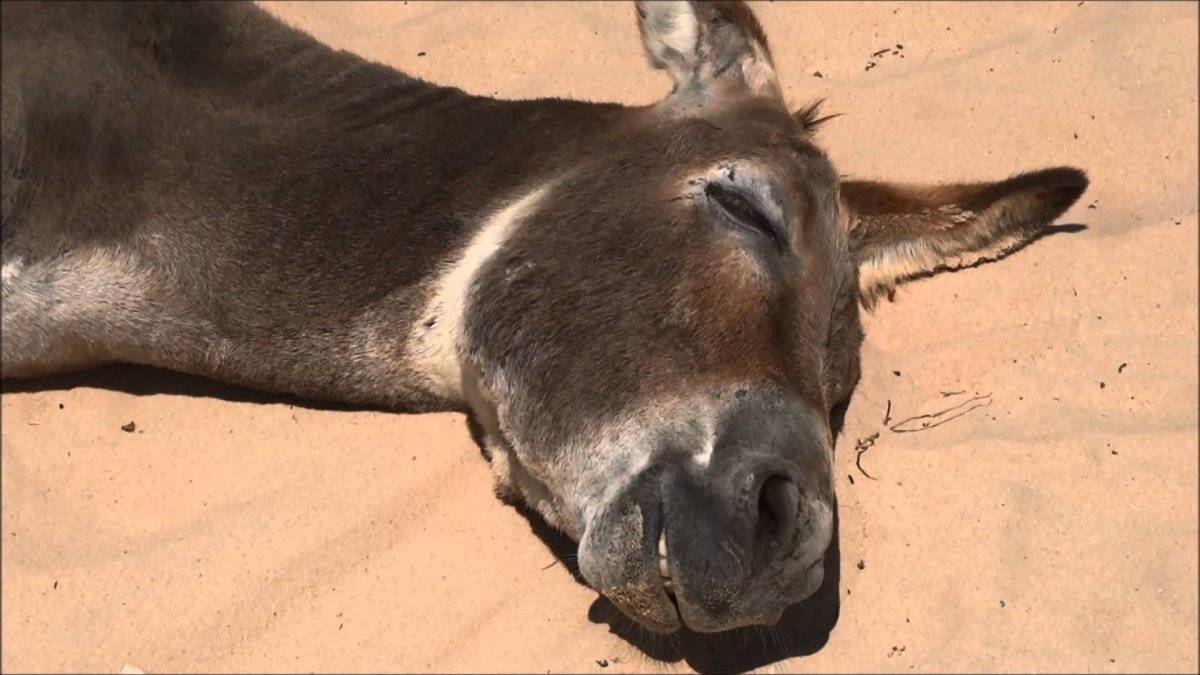 Статусы про сплетниц